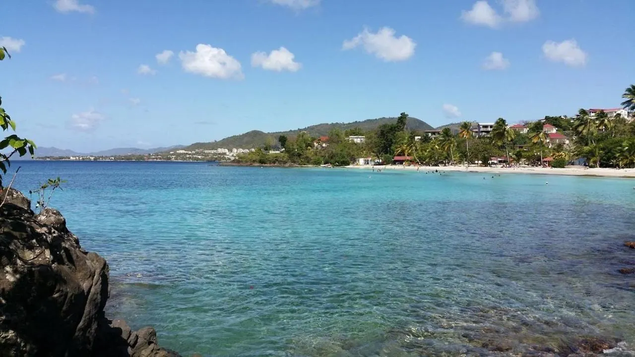 Villa Les Paletuviers - Bord De Mer - Piscine Privee Sainte-Luce Martinique